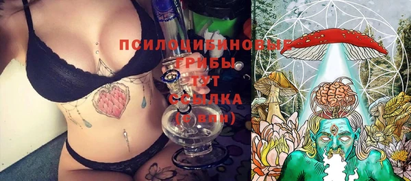прущие грибы Дмитриев