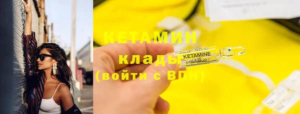 прущие грибы Дмитриев