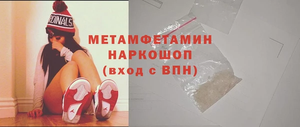 прущие грибы Дмитриев