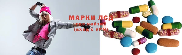 прущие грибы Дмитриев