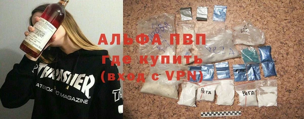 прущие грибы Дмитриев