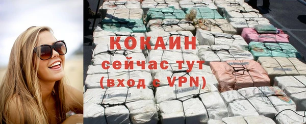 прущие грибы Дмитриев