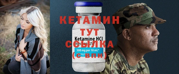прущие грибы Дмитриев