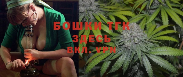 прущие грибы Дмитриев