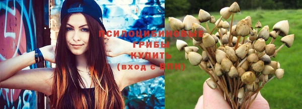 метамфетамин Дмитров