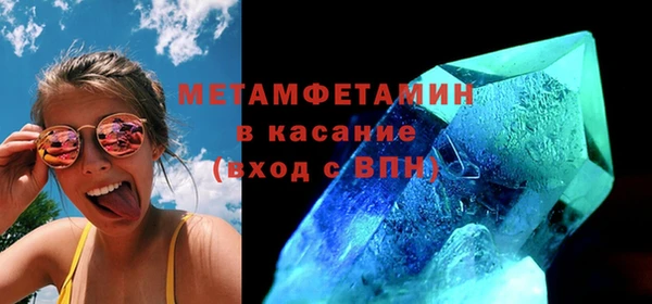 прущие грибы Дмитриев