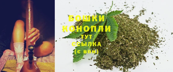 прущие грибы Дмитриев