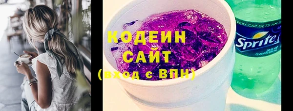 прущие грибы Дмитриев